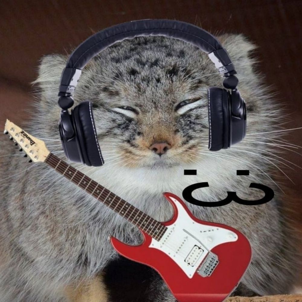 Finik Manul