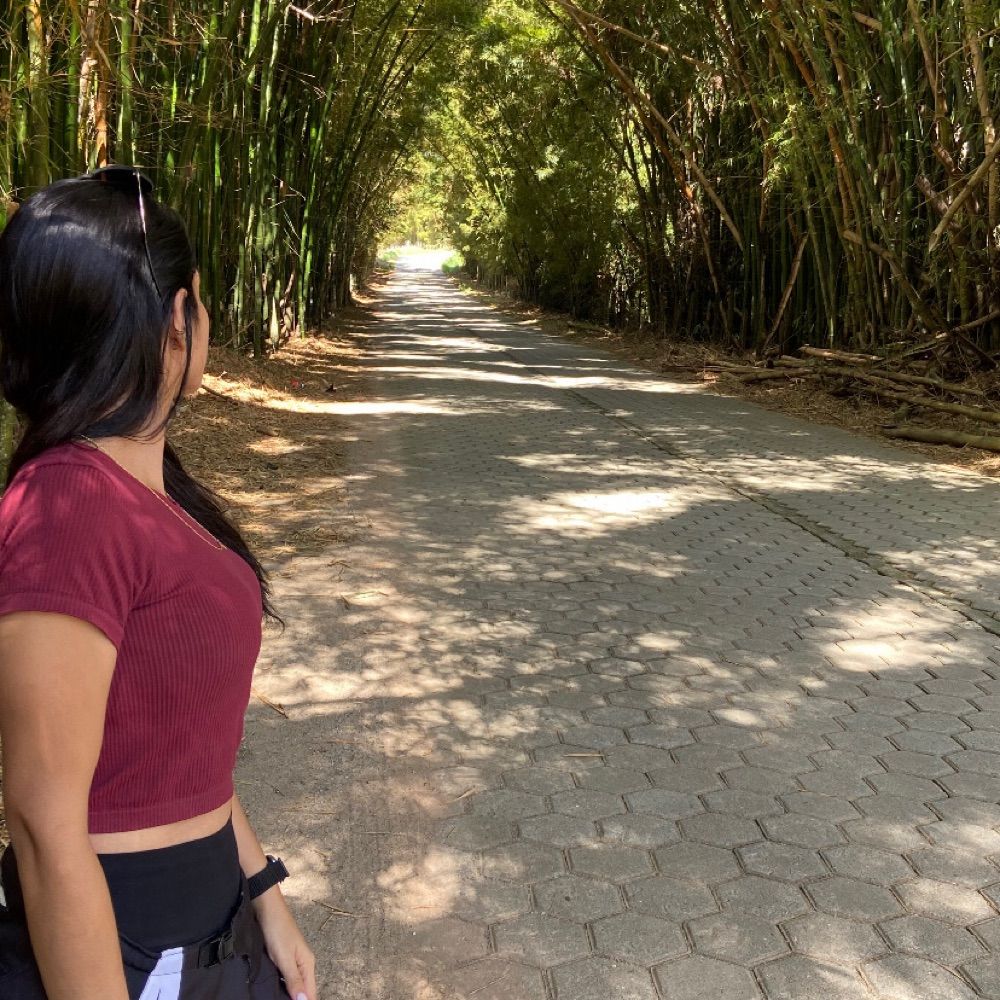 Hanninha 