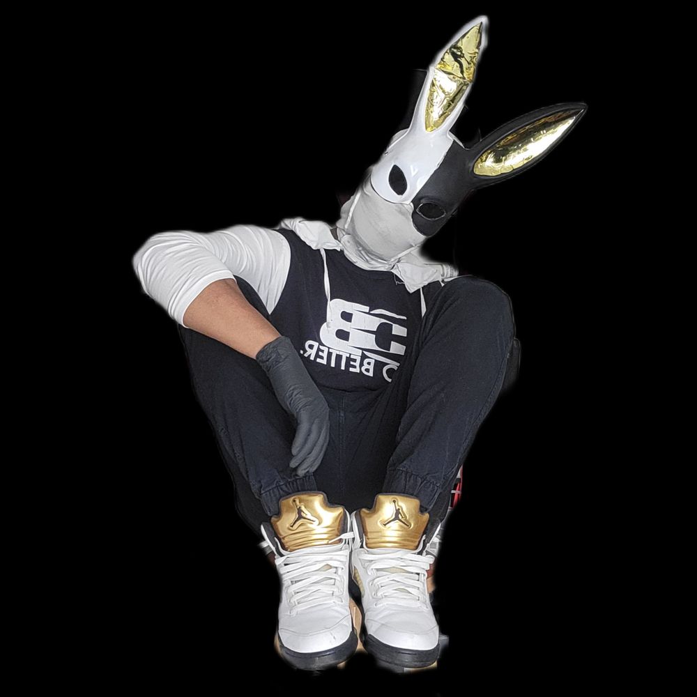 Qnsneaks