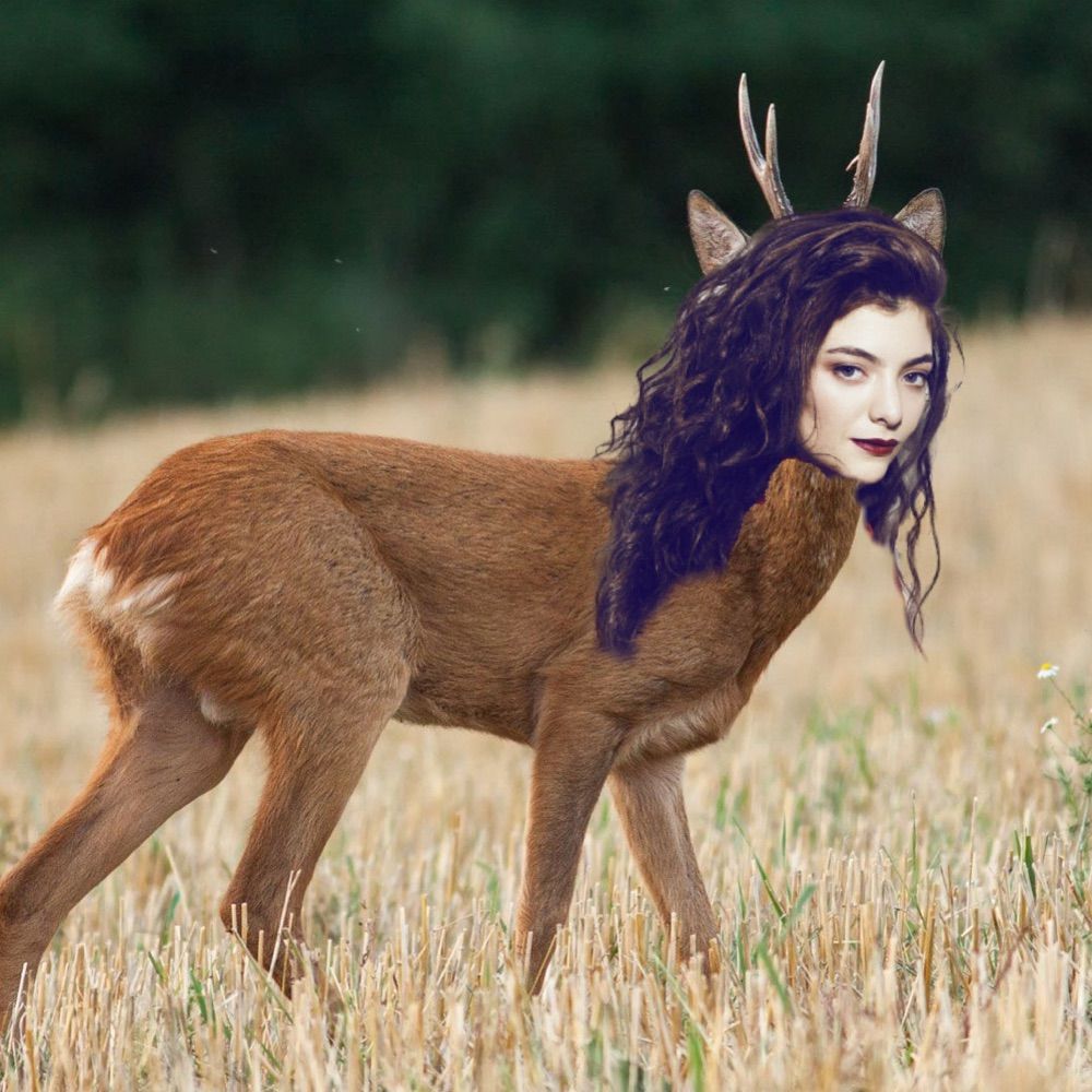 Deer Lorde 🍉