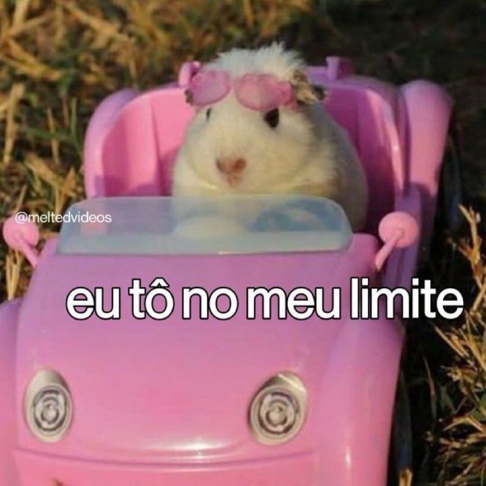 Vi