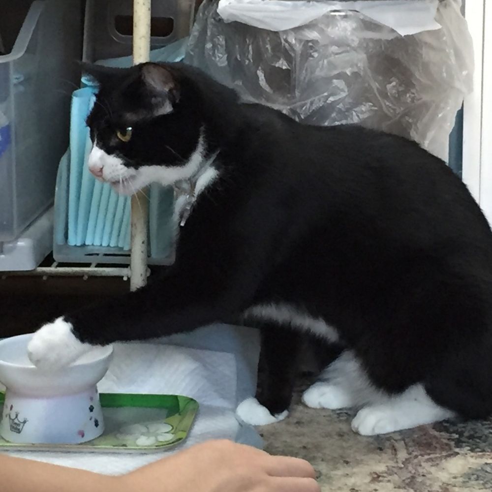 冬樹