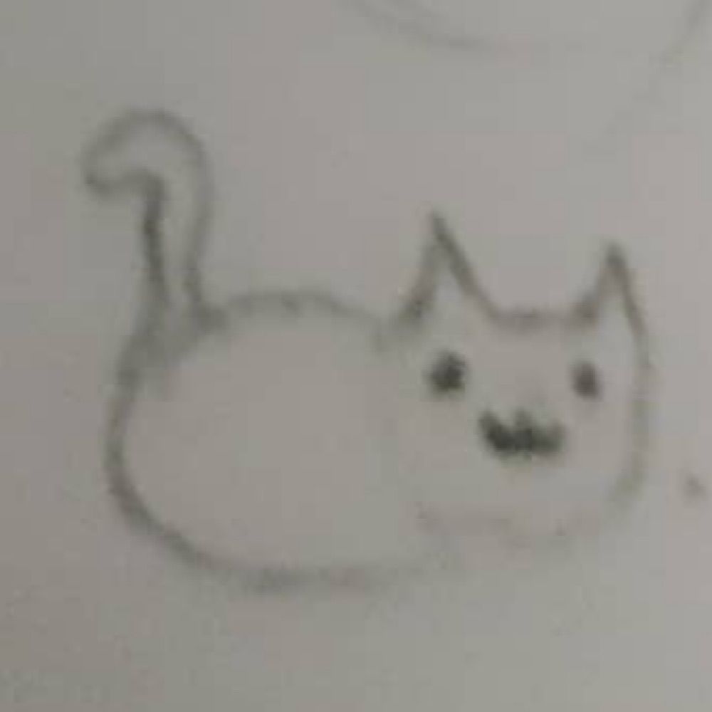 Potatocat