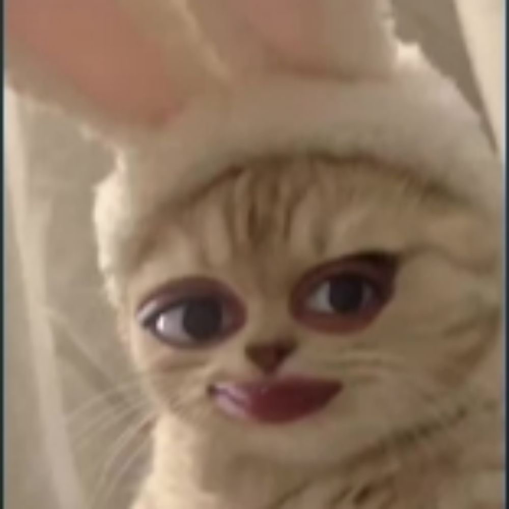 Mimy
