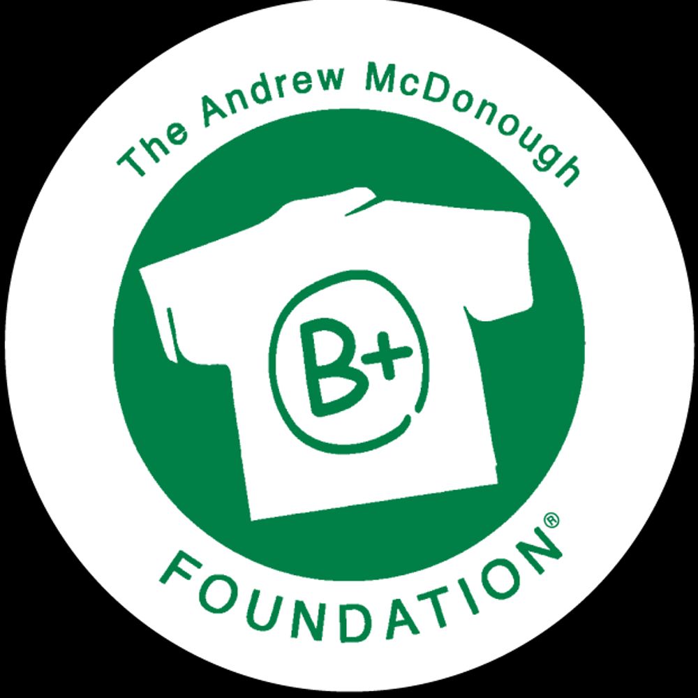 The B+ Foundation