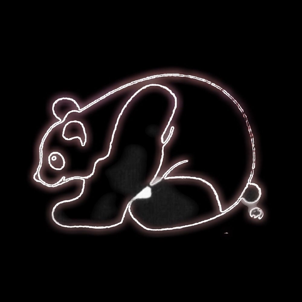 𝙎𝙐𝙂𝘼𝙄