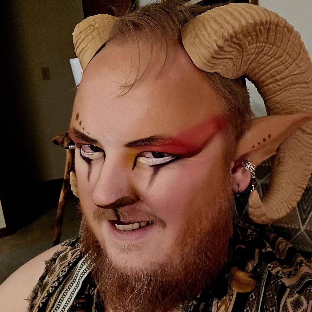 Ludo Dingo