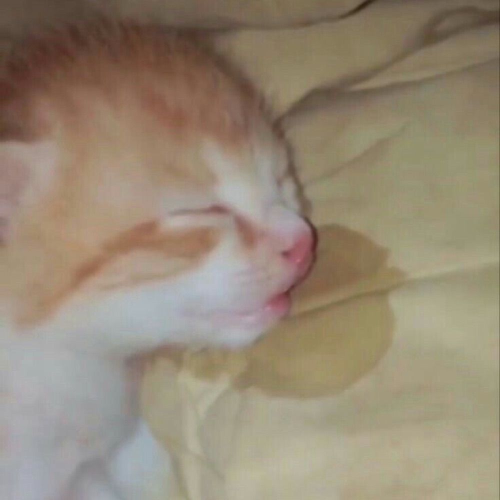 อัยเทพซ่า