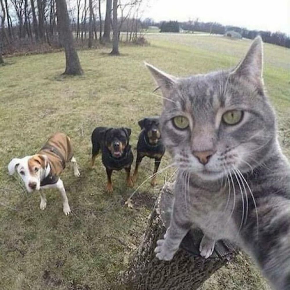 Hard images 😾