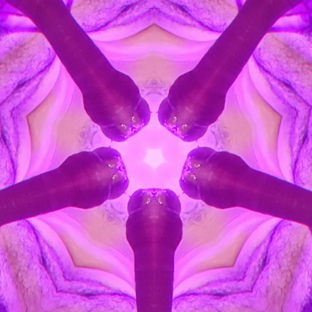 Blue in Bonerland✨️🍆🥒🌽🍄🦋