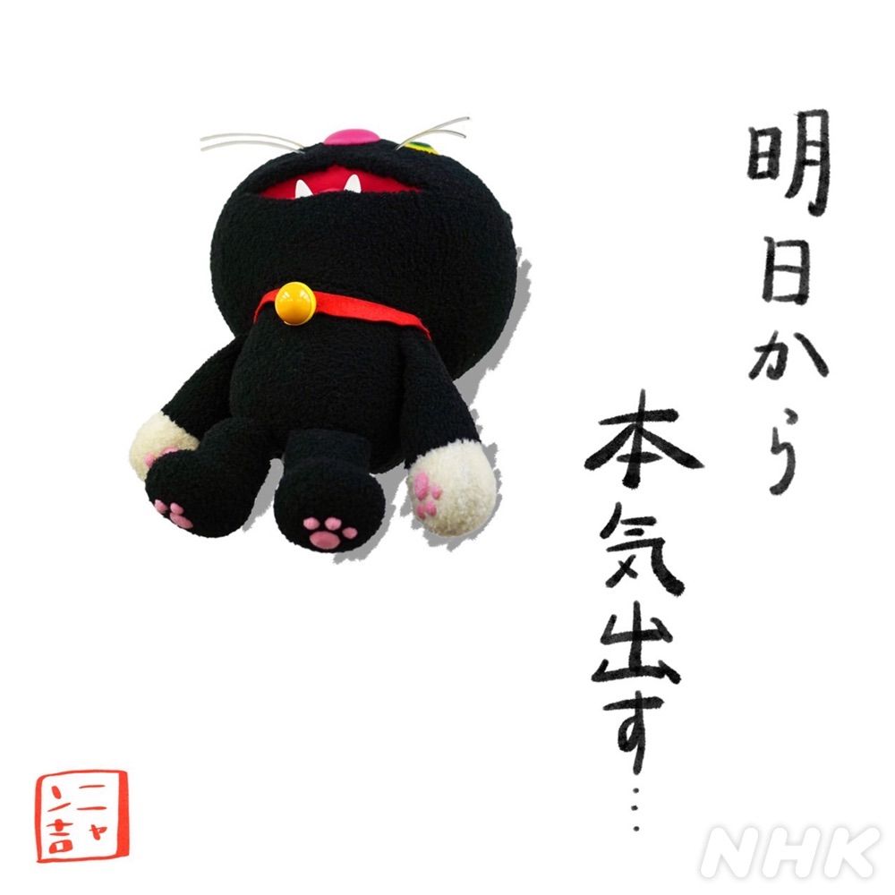 ゆきの