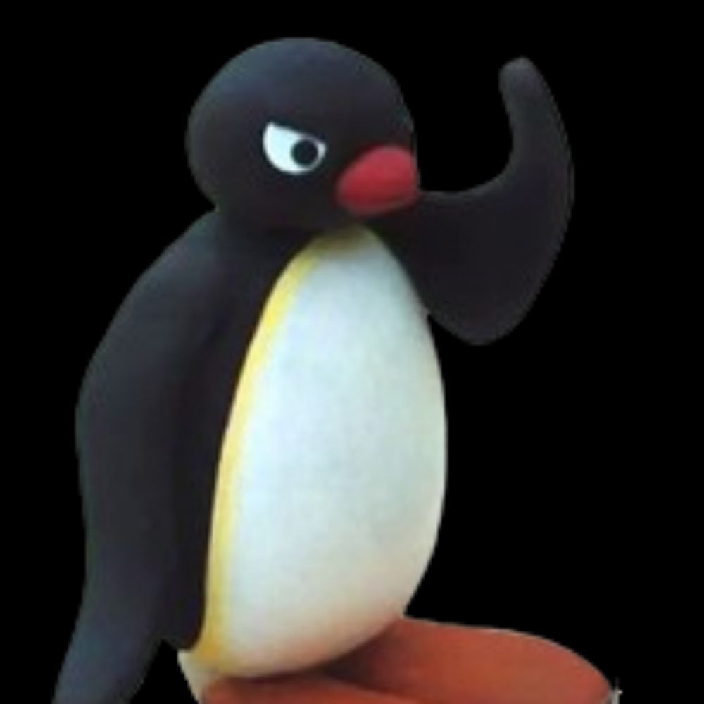 robin 🐧