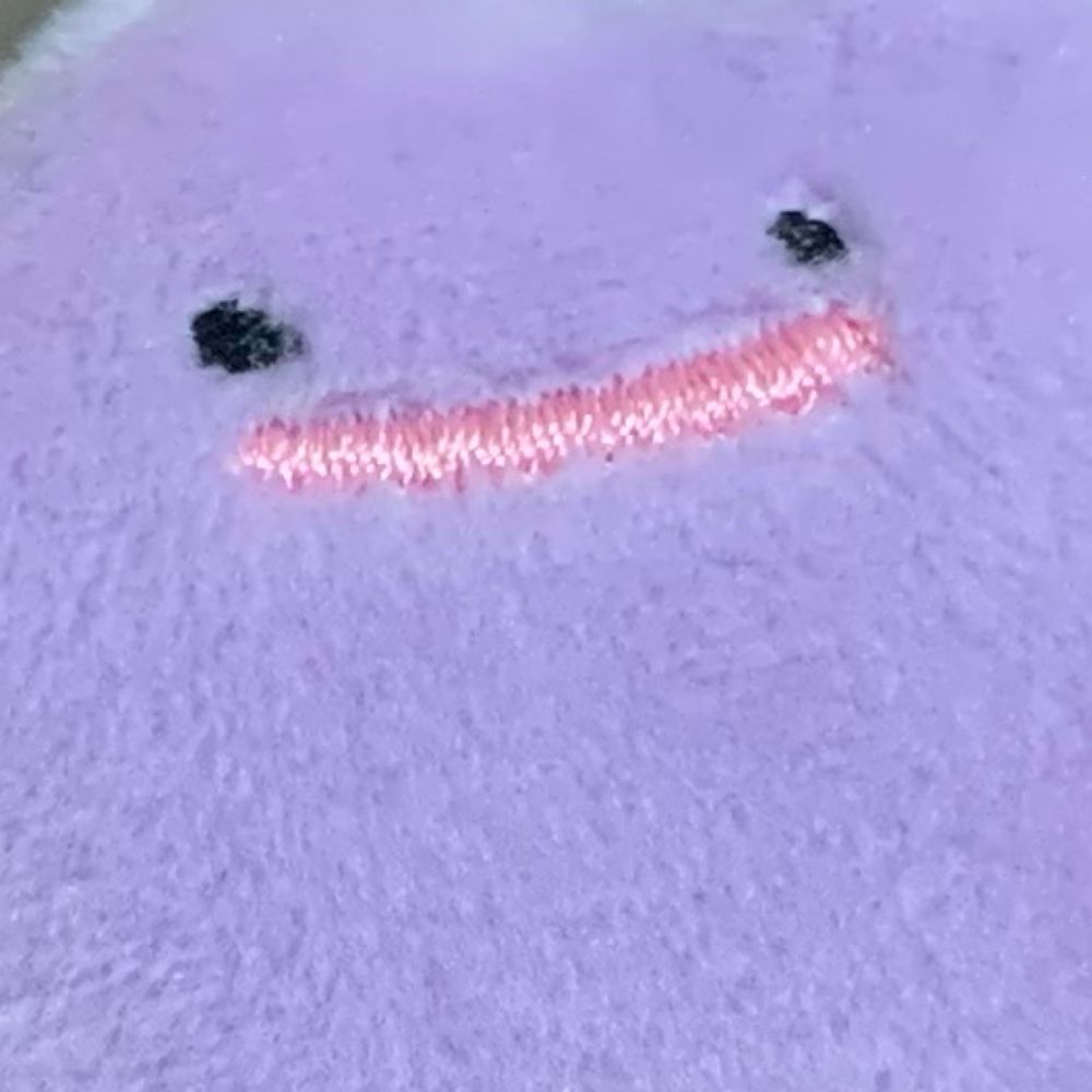 🍩ぬま🐕