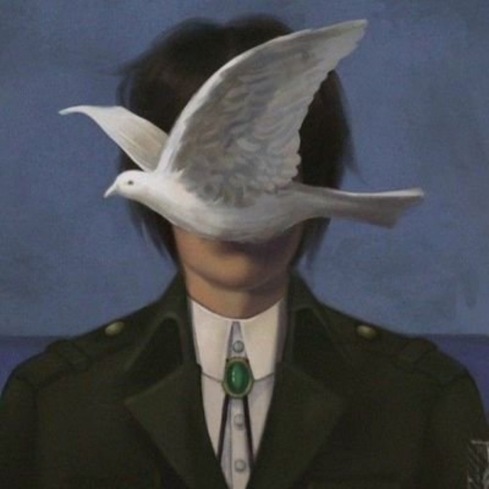 Robin wood