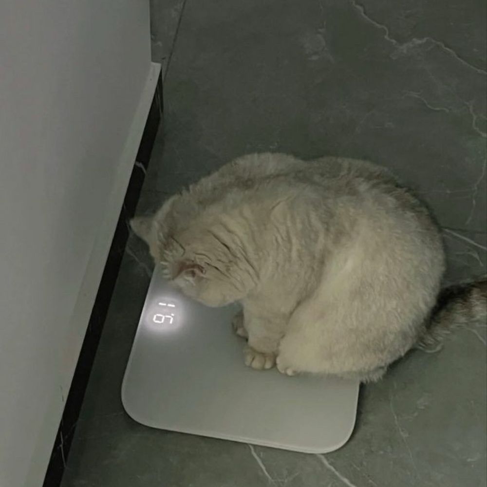 唐揚げクリームパン