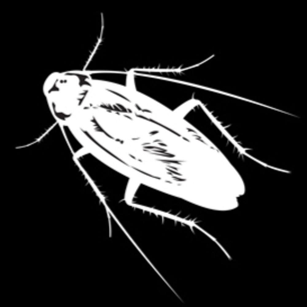 Cockroach Inc.
