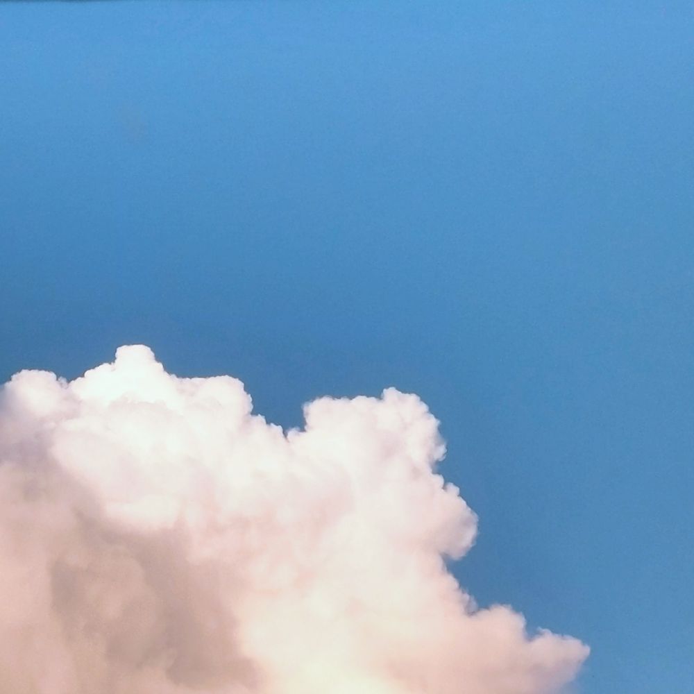 ひよどり