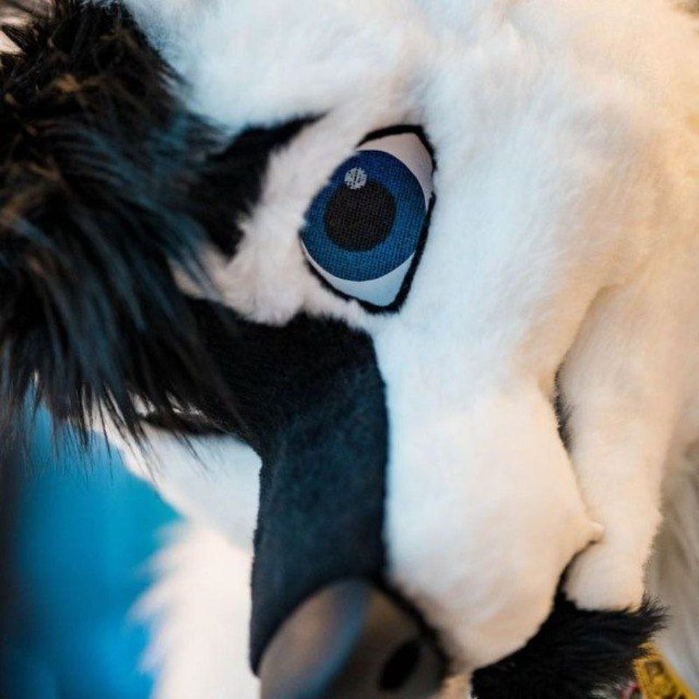 Wolftail