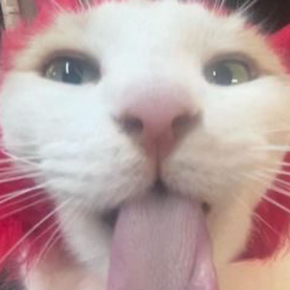 koki
