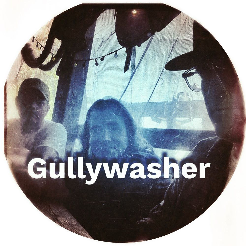 Gullywasher