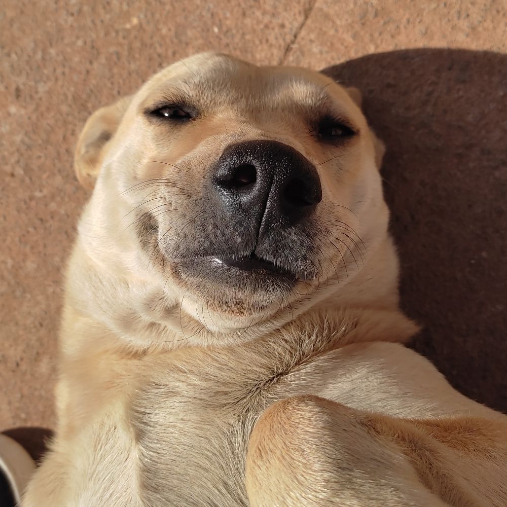 ritinha 