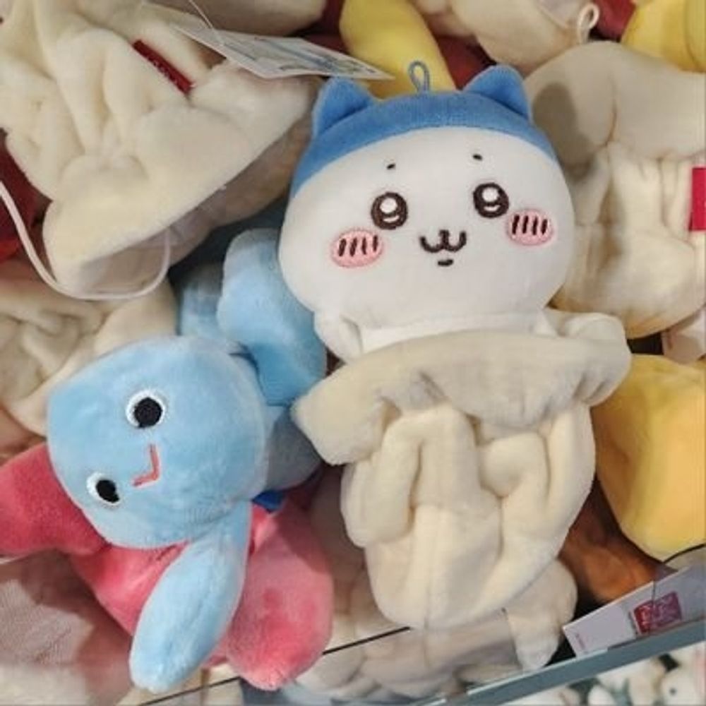 땡구라미