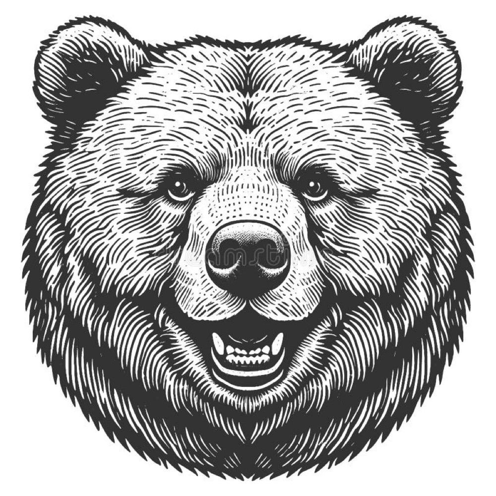 Tor Bear