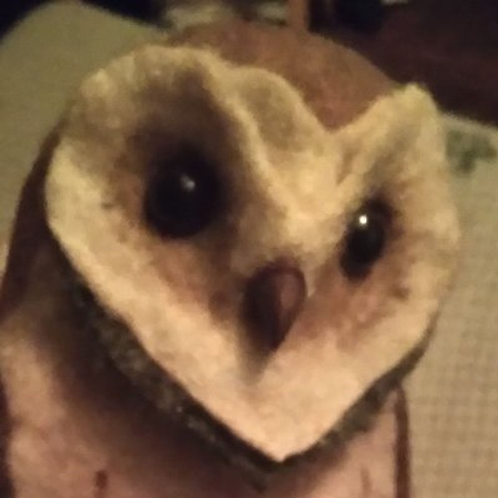 🦉