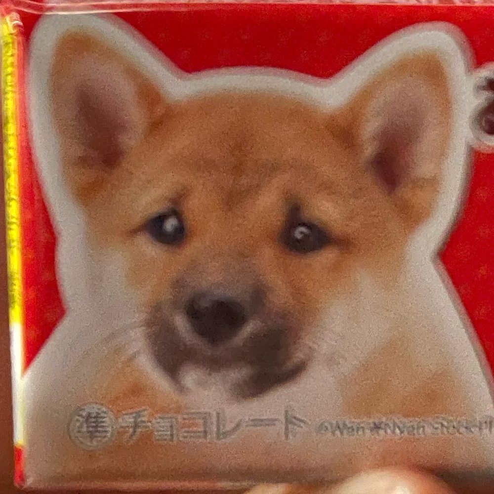 例:山田 太郎