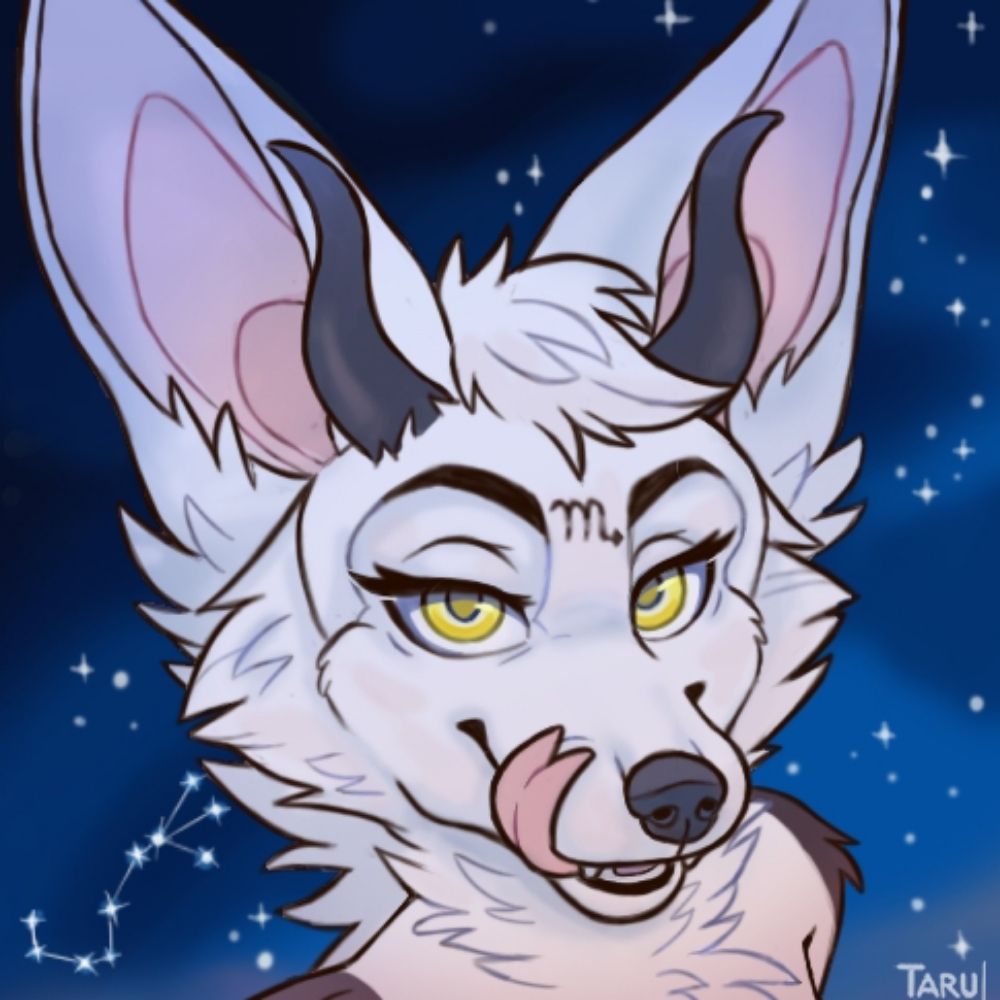 Velom Fox aka Lilium