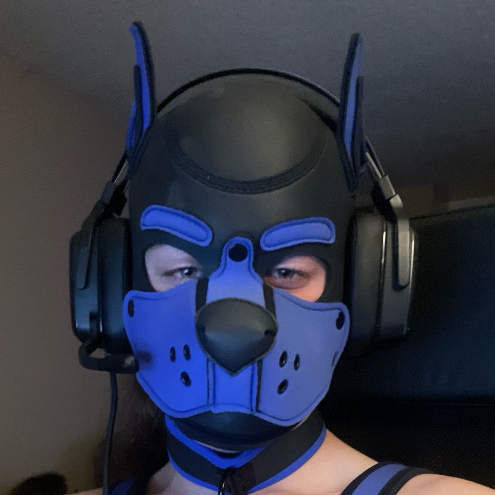 Soggy plush pup