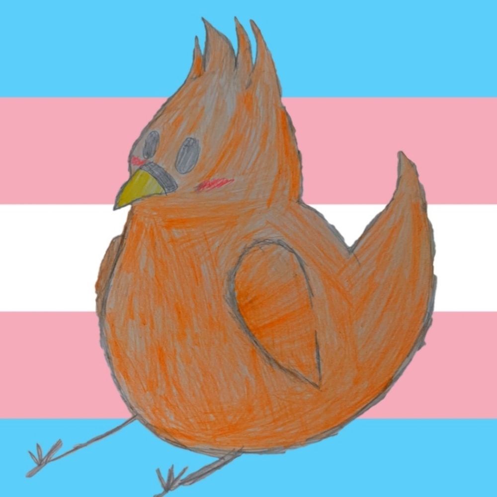 Nina_Birb