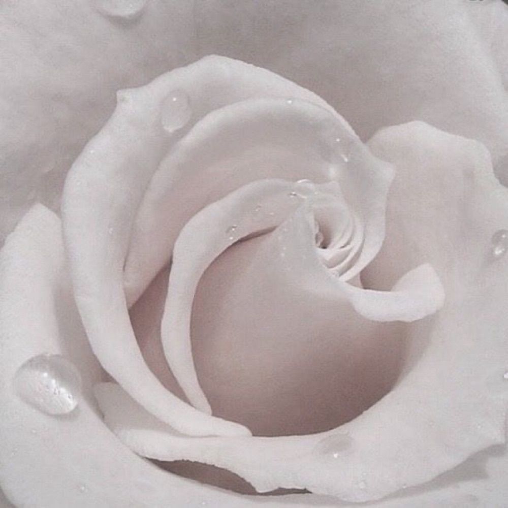 ♰