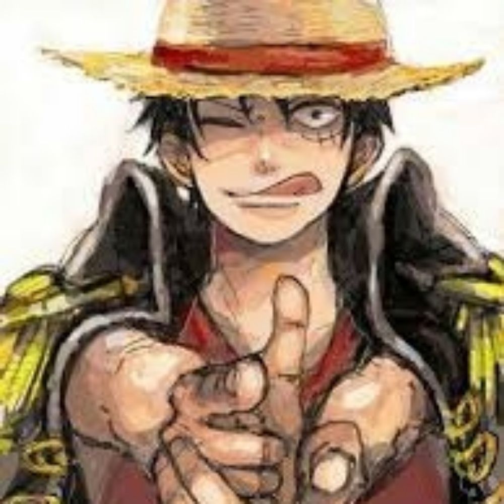 Monkey D Luffy 