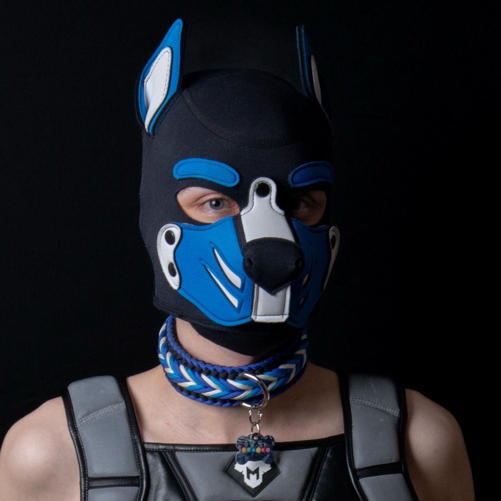Puppy_Sparko