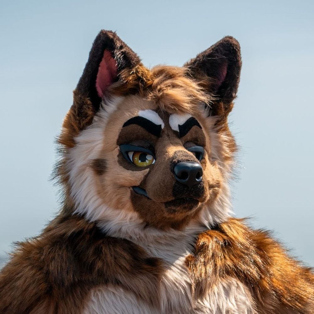 Ani Shep @ Bay Area
