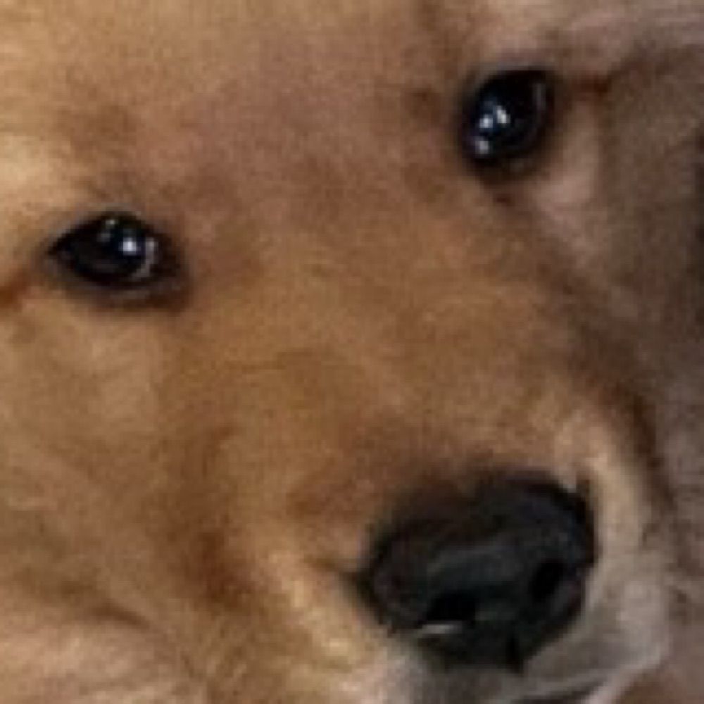 Jojo