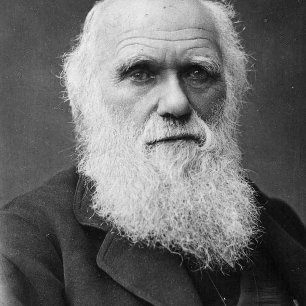 International Society for Evolution, Medicine & Public Health
