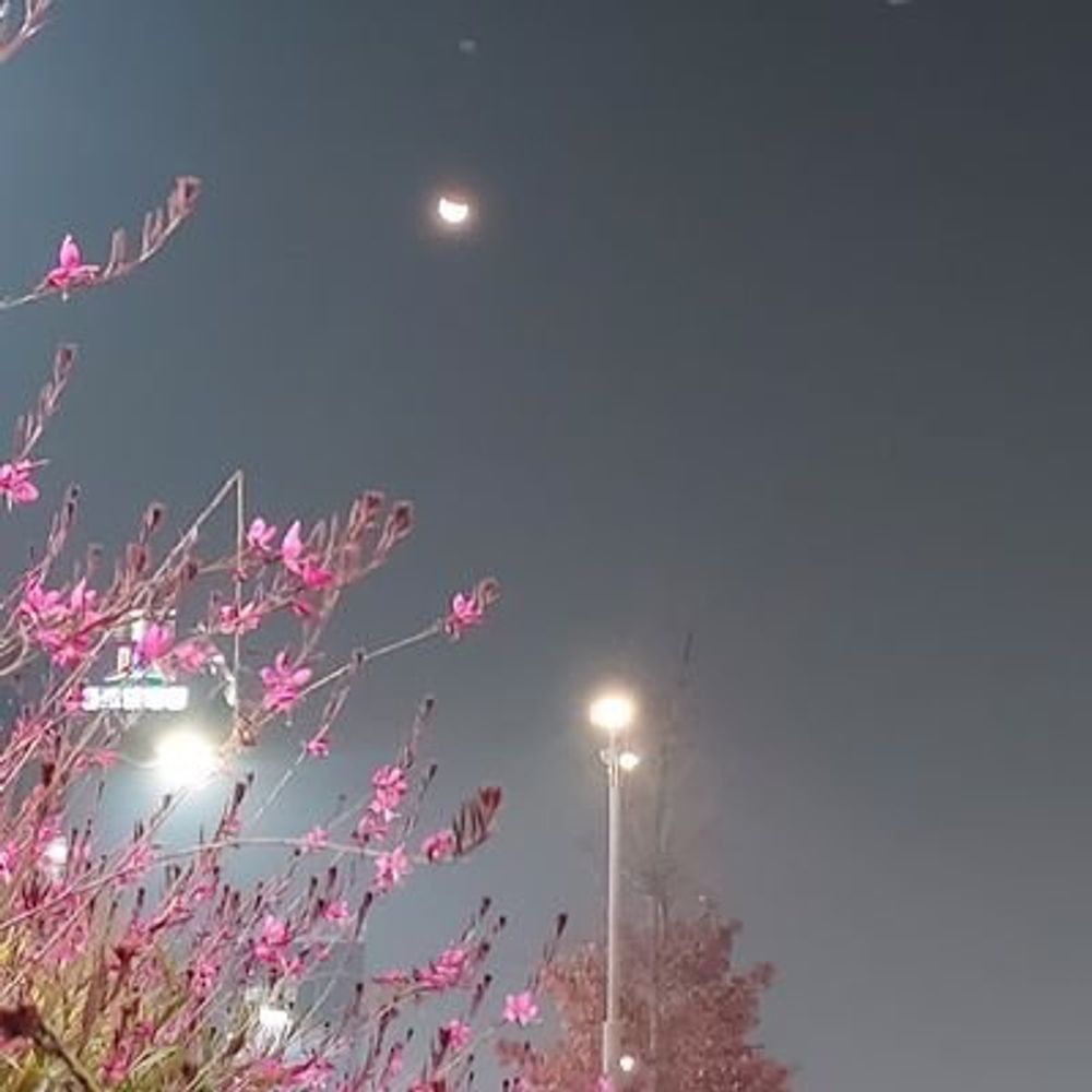 _트위터의 영이_🍂🦮