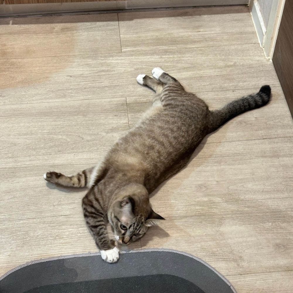 นี่มันอะไรกันคะ