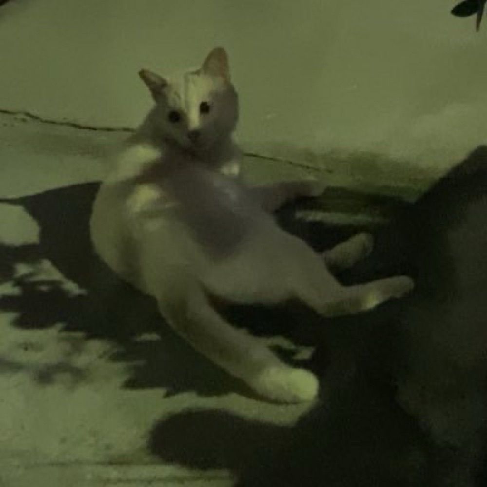 澤村