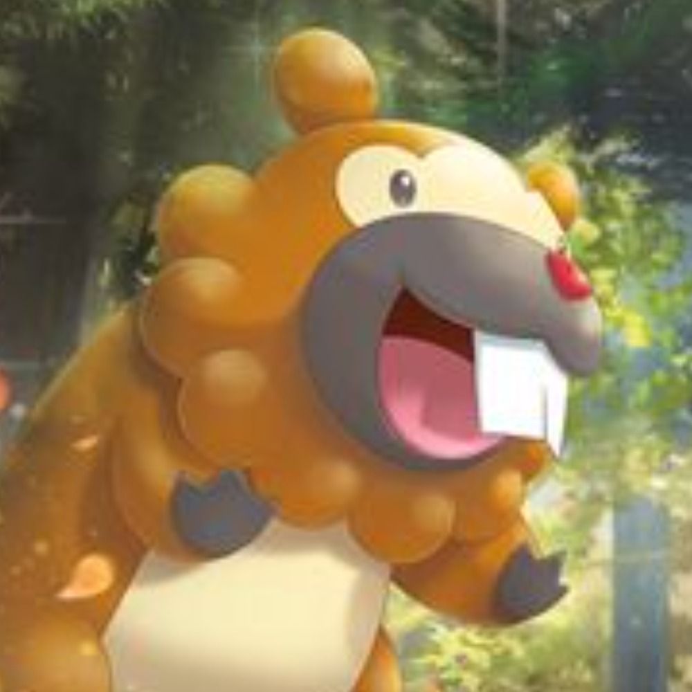 Bidoof