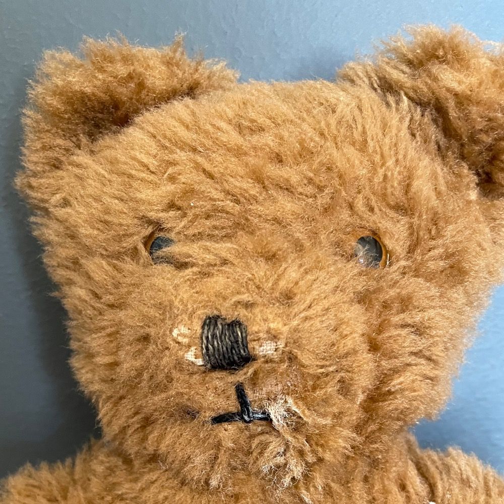 An English Bear's avatar