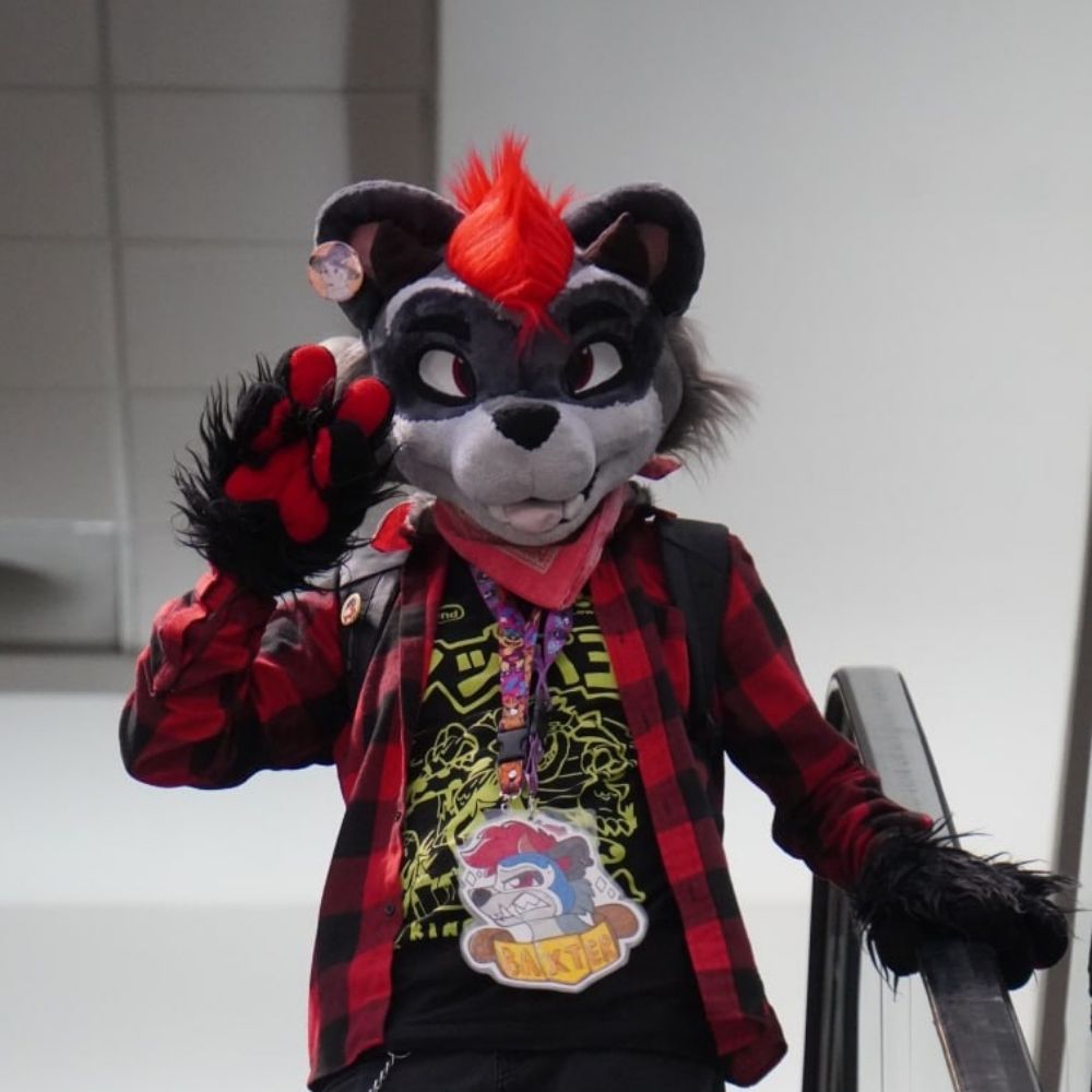 Baxter Raccoon