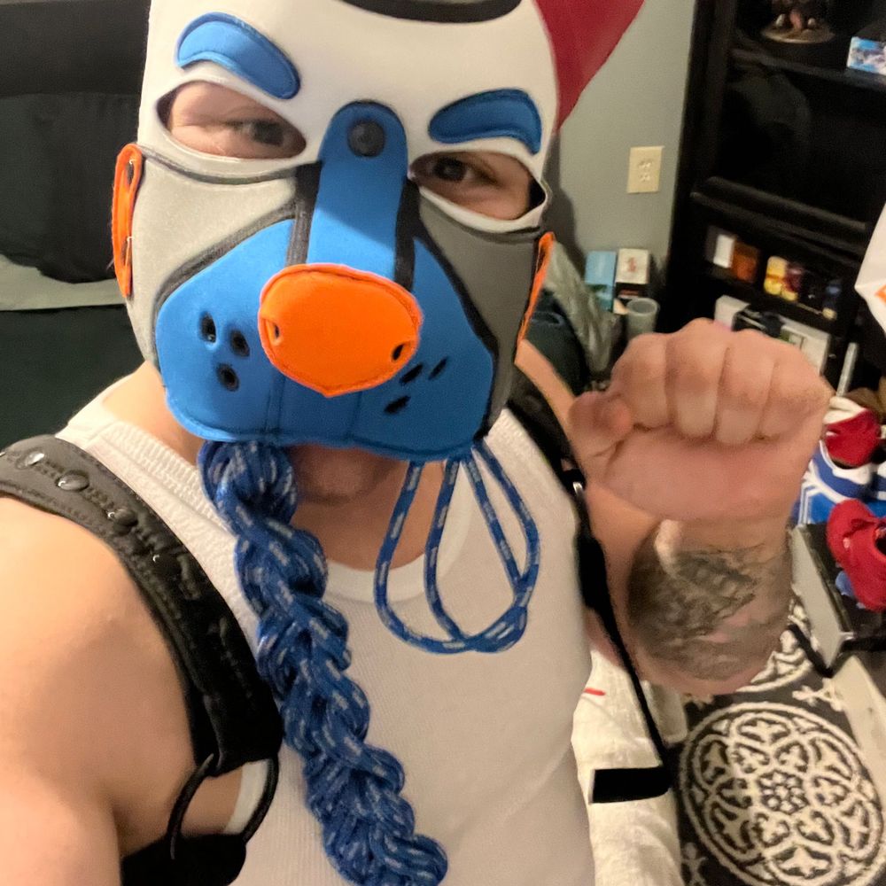 Pup Shield
