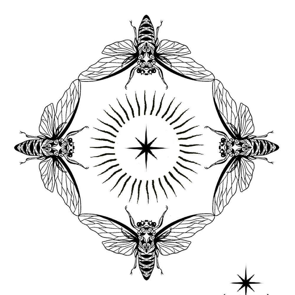 Lines By Lau