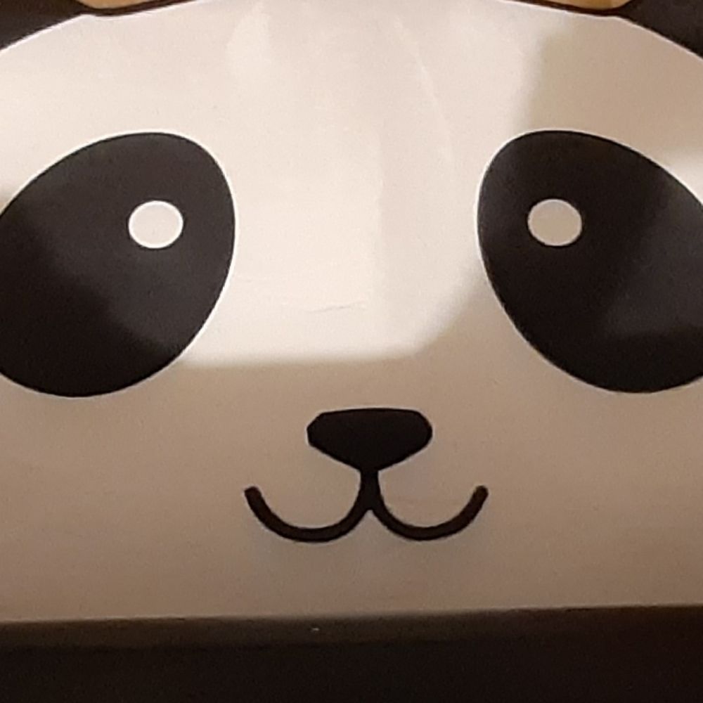 Coco The Panda
