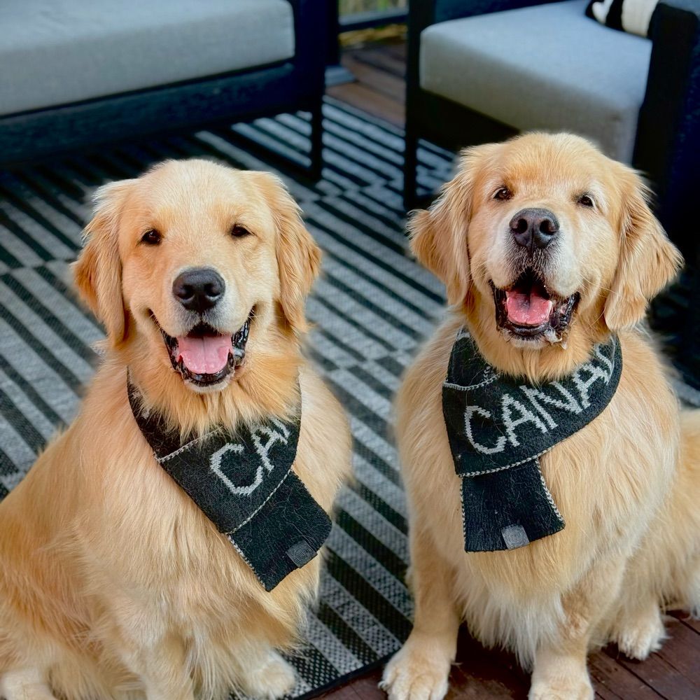 Sterling and Colin