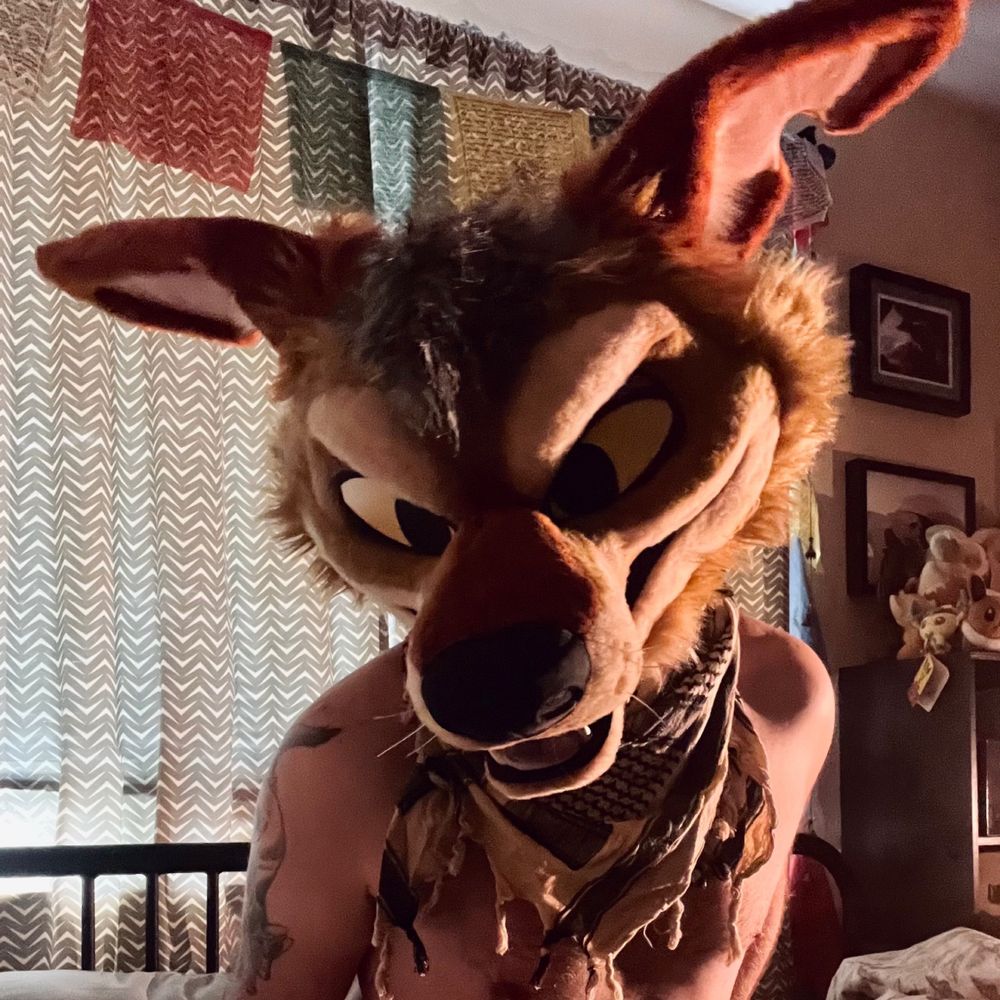 Jackal 