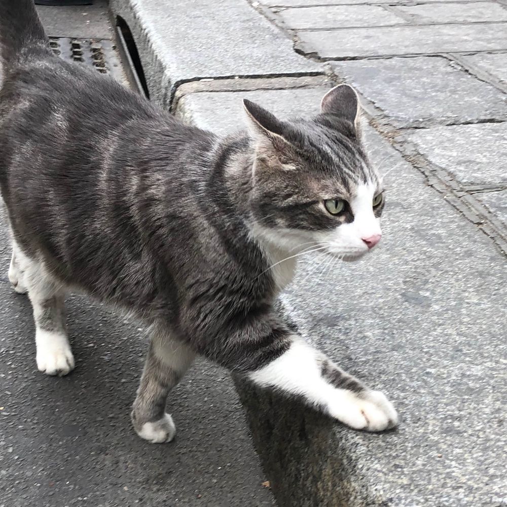 나로